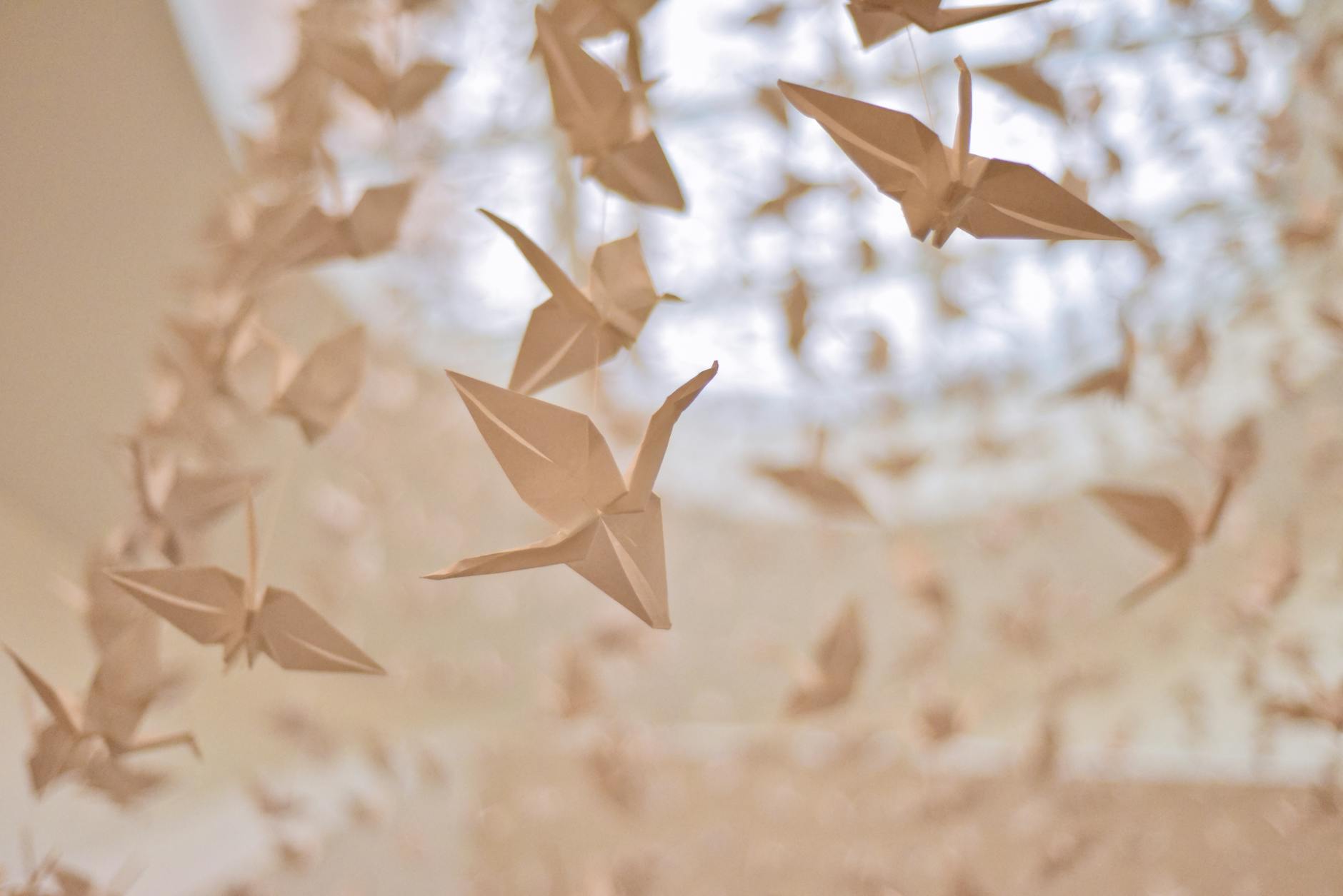 paper cranes